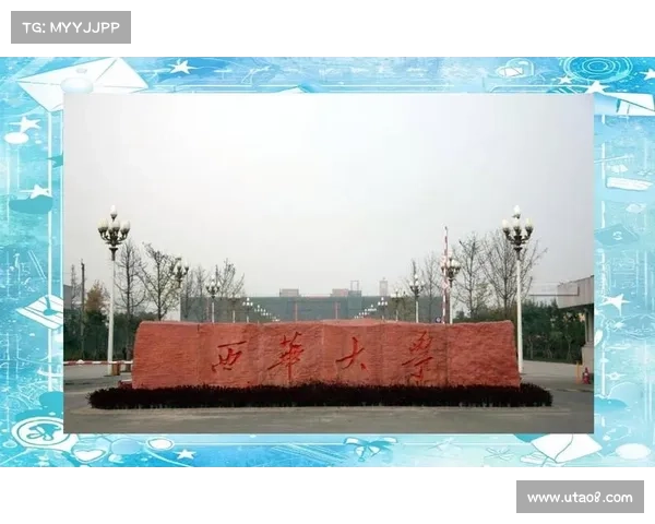 飞飞28预测专业版深度解析与使用技巧全面指南